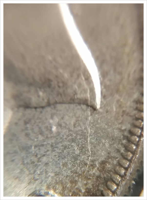 1951-Canadian-Dollar-Die-Crack-Common?